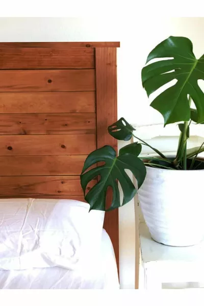 سرير خشبي صلب طبيعي من ناتورا مع قاعدة وسرير ورأس سرير