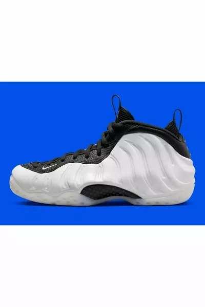 Air Foamposite One Penny PE 