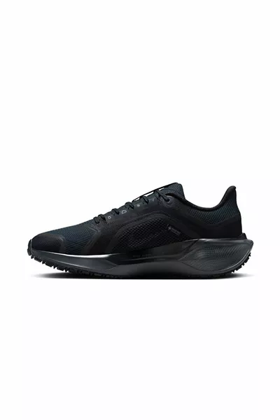 Unisex Running Shoes Pegasus Gore-Tex Black