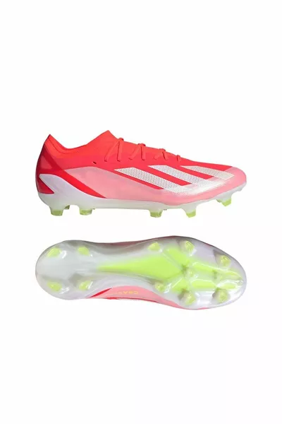 X كريزيفاست النخبة Fg 