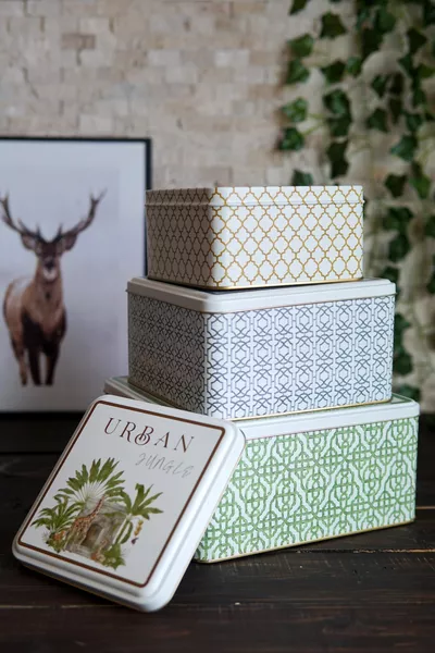 Металлическая емкость для хранения с рисунком Форрест, органайзер, коробка-органайзер для макияжа