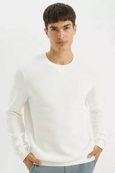 Felpa Basic a Girocollo Regular Fit Spessa au