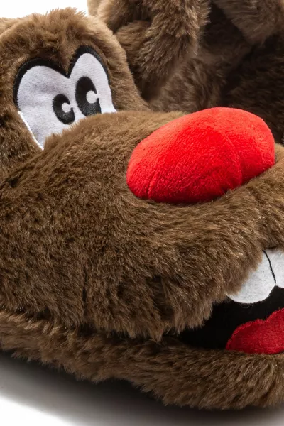 دينتو ذكر باندوف براون /