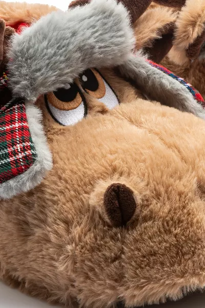 Divo Кобель Животное Пандуф Коричневый /