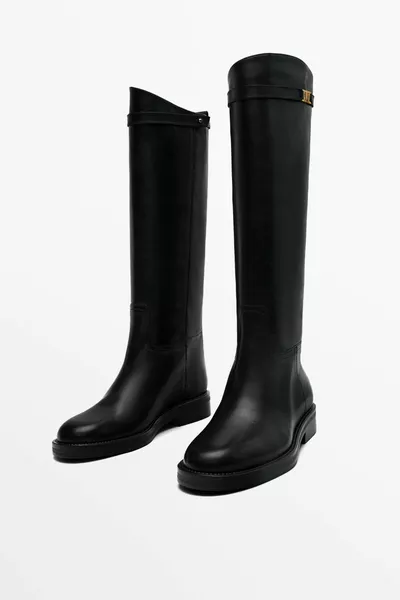 رسم نموذج ركوب الخيل