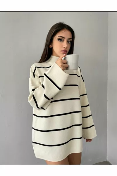 Tricots à col roulé