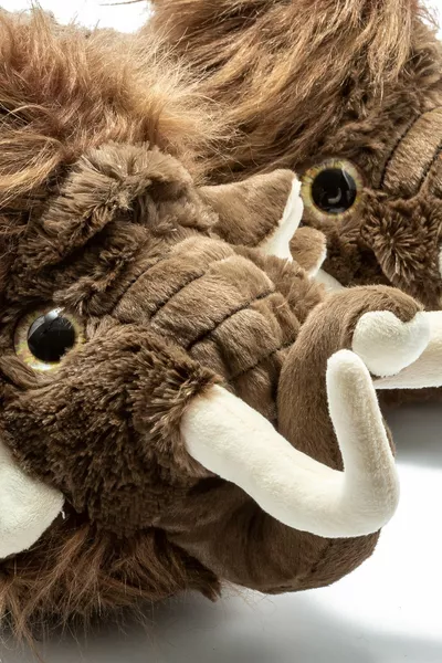 Унисекс Мамут Животно Нов сезон Пандуф Домашен Нов сезон Пандуф Забавен