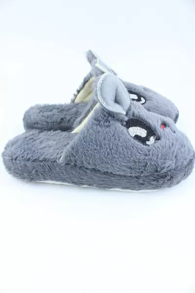 شبشب الأرنب الرمادي