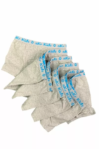 Akpınar Kids Grey Boxer Lycra Cotton 5 Pack