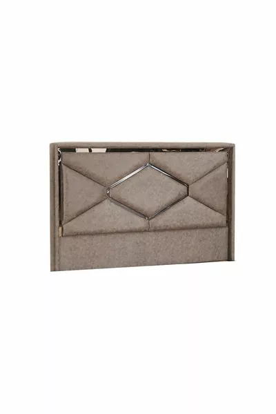 Immune Defense Base Title