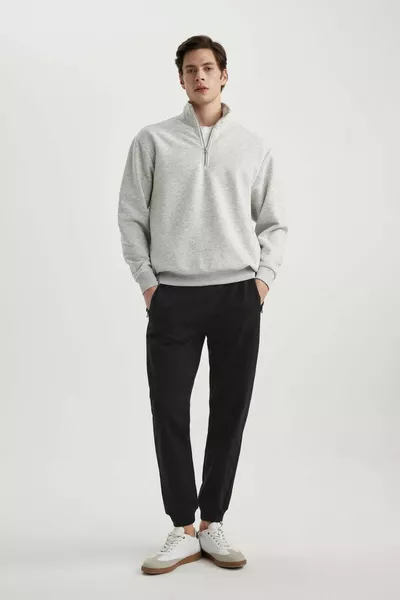Oversize Loose-Fit Zippered High Neck Basic Plain Sweatshirt WN