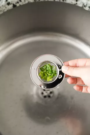 RVS kunststof gootsteenzeef