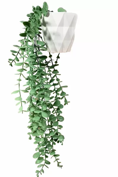 Artificial Flower Moblen Mika Diamond White in Pot with Green Eucalyptus Pendant