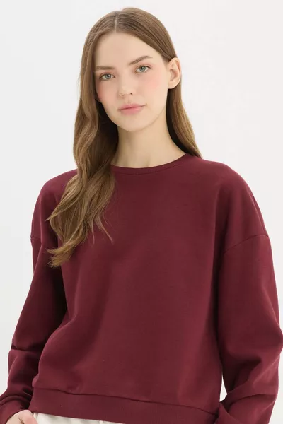 سويت شيرت بفتحة رقبة دائرية سادة سميك بقصة عادية WN