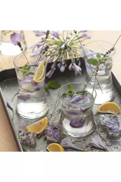 Derin 6'lı Meşrubat Bardağı