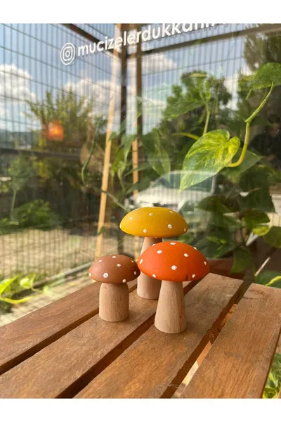 Set of 3 Lucky Wooden Mushrooms