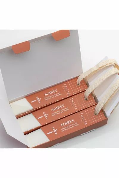 Home Nectarine & Amber Scented Hanging Closet Stick 3 x g