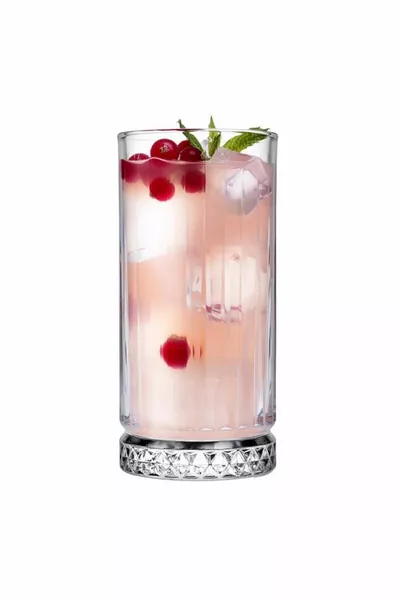 Elysia Water and Beverage Glass cc Set of 4 