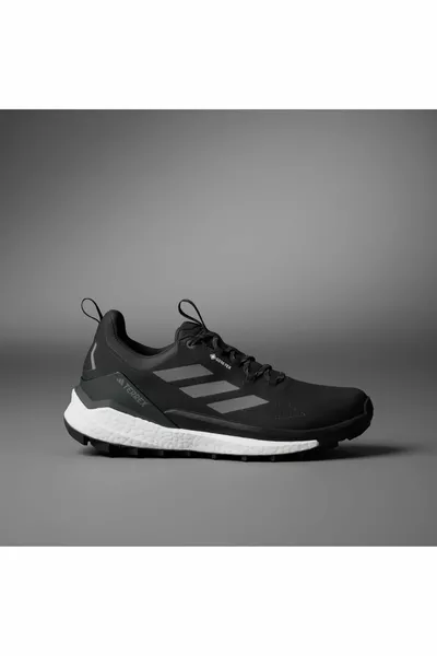 TERREX FREE HIKER 2 LOW GTX