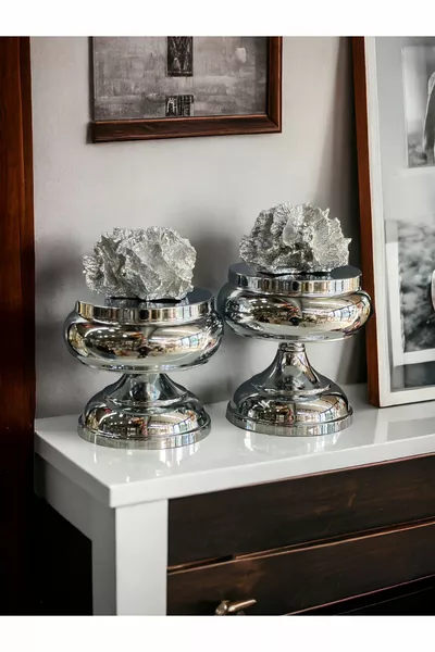 Decorative 2-Piece Coral Footed Box & Object Silver / Silver