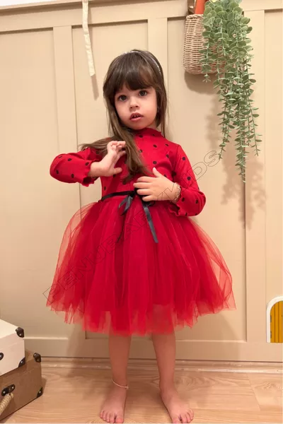 Red Polka Dot Tulle Long Sleeve Baby Girl Dress - Emily