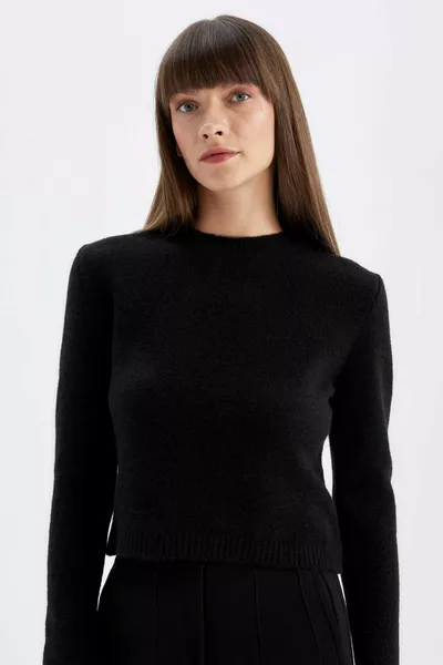 Pull Tricot Crop Basique Premium Col Rond Coupe Régulière WN