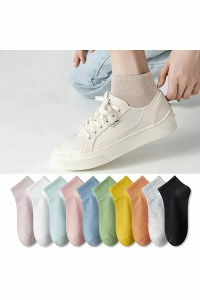 المرأة اضافية لينة الملونة نصف محارة كلية الجوارب مجموعة 8 أزواج