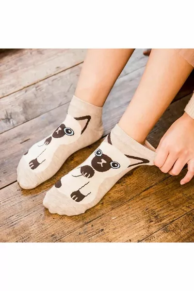 5 قطع لطيف القط منقوشة الجوارب الغنائم