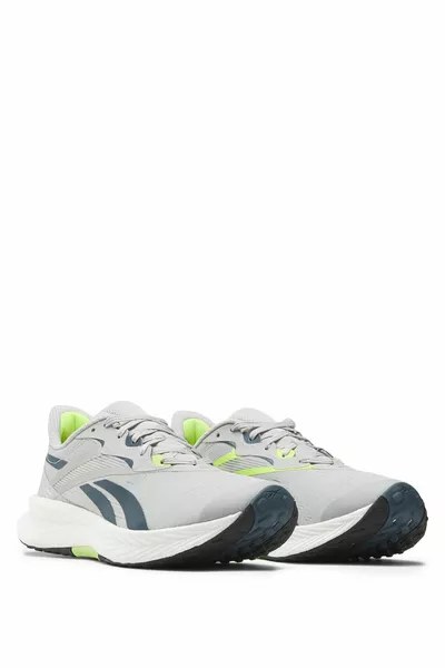 حذاء الجري FLOATRIDE ENERGY 5 رمادي للرجال