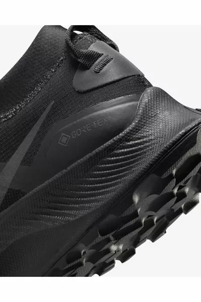 سنيكرز بيغاسوس تريل 3 جور تكس للرجال - 