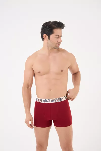 Cadeau Katoenen Comfortabele Gedrukte Etnische Print Herenboxer