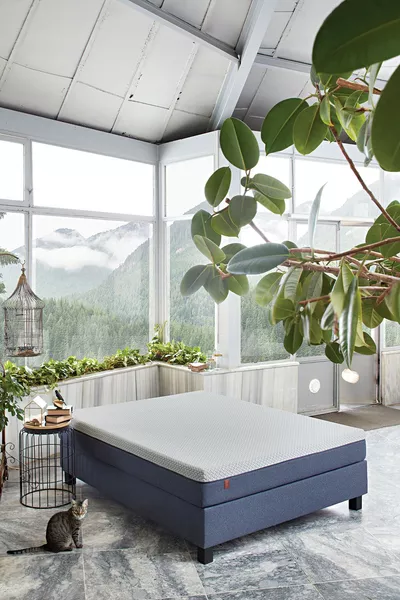 مرتبة فيسكو أوبتيموم سبورت رول بدون نوابض