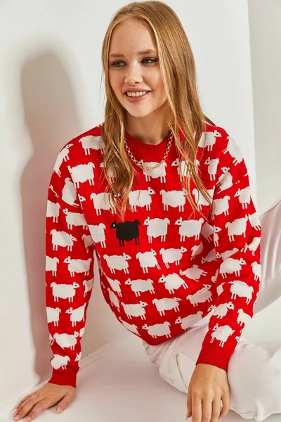 المرأة الأغنام منقوشة سترة متماسكة