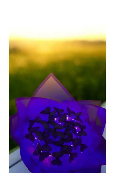 باقة فراشات مضاءة LED باللون البنفسجي