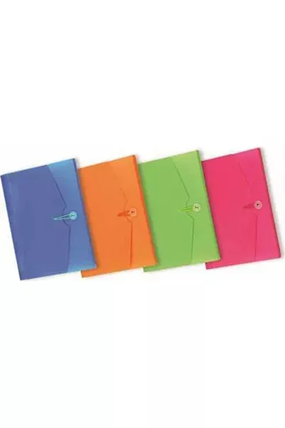 Accordion File with  Compartments, Mixed Colors 