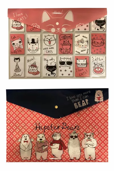 Patterned Snap Button Folder Set of 2