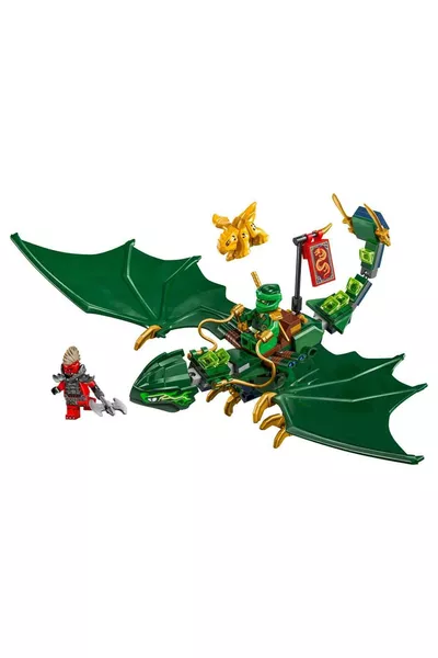 ® NINJAGO® Lloyd's Green Forest Dragon + Creative Toy Building Set for Kids (P)