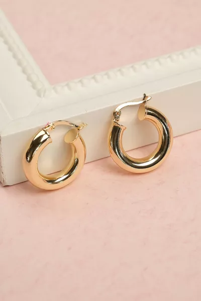 Steel Earrings Guaranteed Not to Fade with Invoice