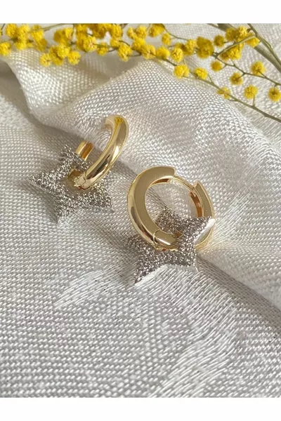 Gizar Aks. Star Earrings with Zircon Coating on Gold Hoop