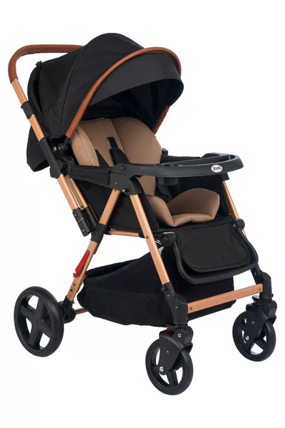Trendy Reversible Baby Stroller