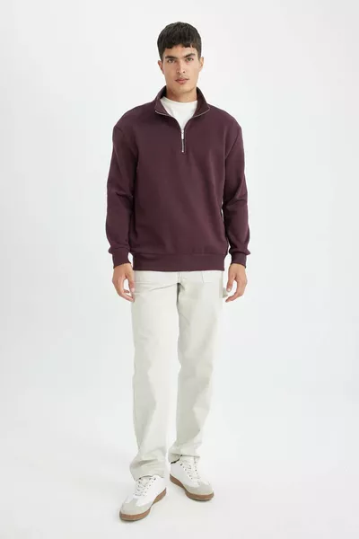 Sweat-shirt basique à fermeture éclair, col montant, coupe confortable Regular Fit AU