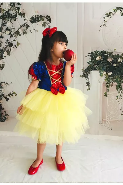Robe d'anniversaire Blanche-Neige pour fille avec tutu