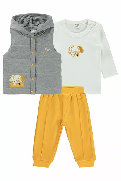 Baby Boy 3er Set  Monate Senf