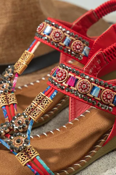 كارولين التشريحية العظام الحجر عارضة الصنادل النسائية