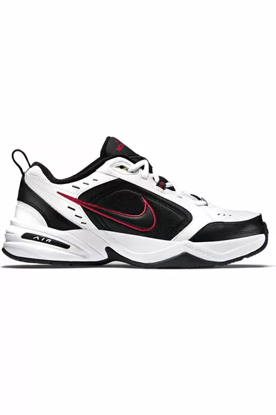 Air Monarch Iv