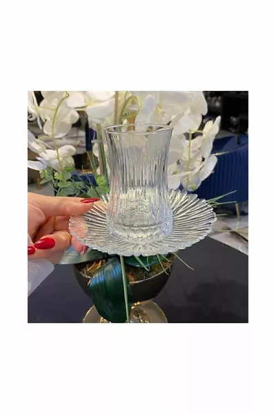 Elysia Tea Cup & Imported Tea Saucer Set  Pieces