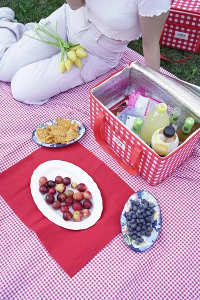 حقيبة نزهة حرارية معزولة حقيبة حمل باردة من Gingham الأحمر مع مقبض cm