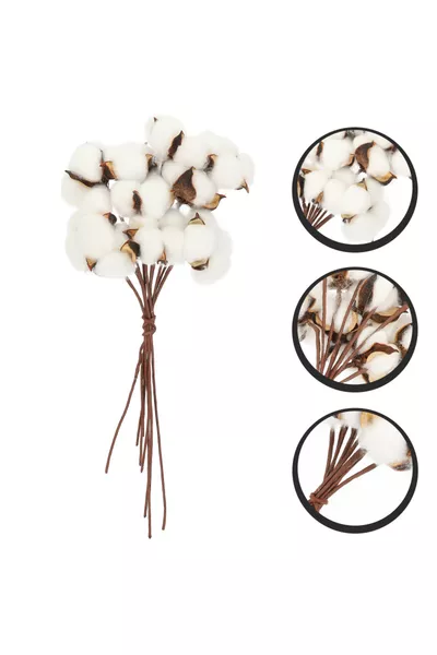 فرع قطن طبيعي أبيض 6 قطع مستورد