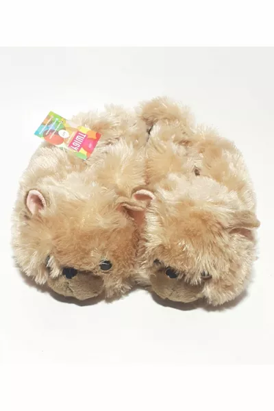 القط امرأة البيت باندوف