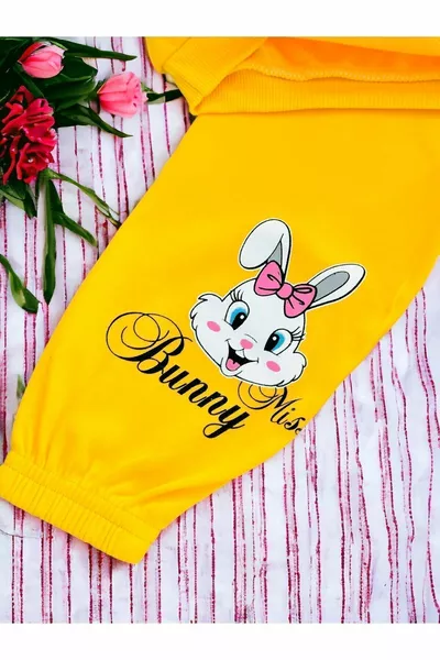 Baby Girl Seasonal Long Sleeve Cute Rabbit Printed Sweathirt Top Bottom Set